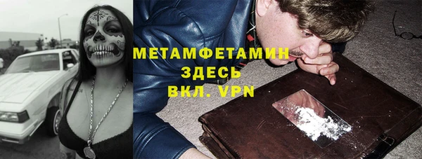 прущие грибы Зеленодольск