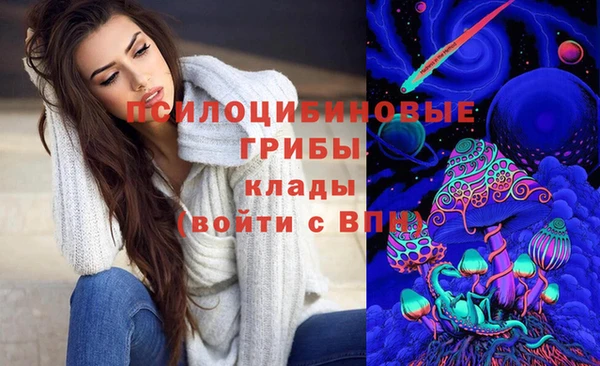 МДПВ Зерноград