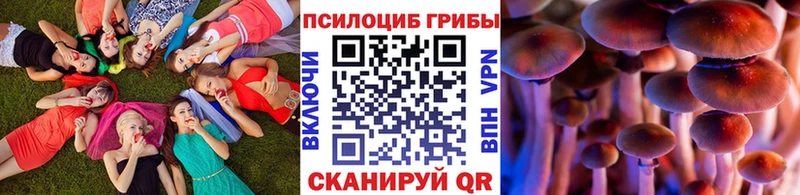 закладка Злынка Галлюциногенные грибы прущие грибы